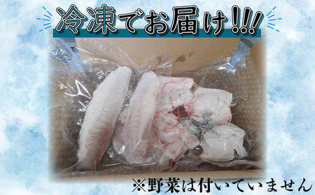 篠島産 天然 とらふぐ 鍋用 ぶつ切り 3~4人前 冷凍 活き〆 とらふぐ ふぐ フグ ふく アラ あら てっちり 河豚 ふぐ フグ ふく