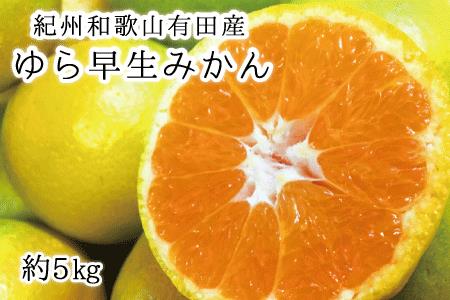 紀州和歌山有田産ゆら早生みかん 5kg サイズお任せ ※2024年10月中旬頃～2024年10月下旬頃順次発送(お届け日指定不可)【uot721】