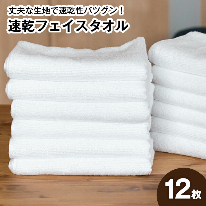 【ふるさと納税】220匁 速乾フェイスタオル 12枚セット ホワイト 薄手 無地 耐久性 吸水力 単色 泉州タオル