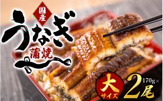 【大型サイズ】ふっくら柔らか 国産うなぎ蒲焼き 2尾【uot302-3】