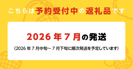 【2026年7月お届け】完熟マンゴーのジェラート＆シャーベット130ml×6個入り_先行予約 完熟 マンゴー ジェラート シャーベット セット 130ml × 6個 各3個 高糖度 果肉 使用 地植栽