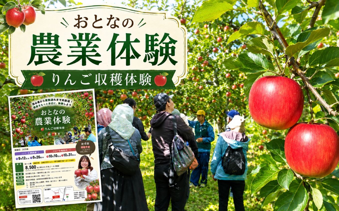 
                  おとなの農業体験（りんご収穫体験）1回目：10月17日（土） | りんご 農業テクノロジー 農家 交流 体験 日帰りツアー アクティビティ 長野県 松本市
                