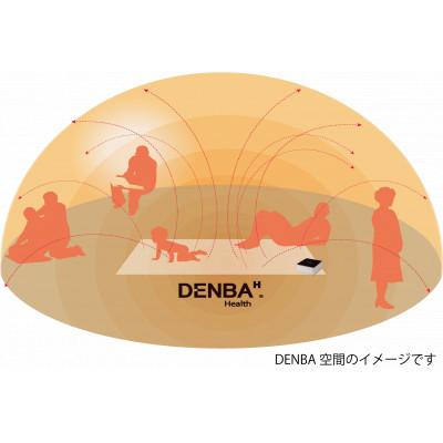 ふるさと納税 蓮田市 DENBA Health High-grade　デンバヘルスハイグレード |  | 03