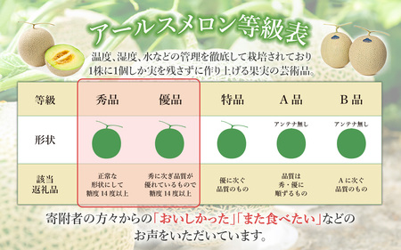 12-11茨城県産アールスメロン約2.5kg（2個）【2024年9月上旬～10月下旬ごろ発送予定】