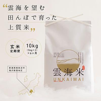 ふるさと納税 南魚沼市 【毎月定期便】南魚沼産コシヒカリ「雲海米」玄米10kg全6回