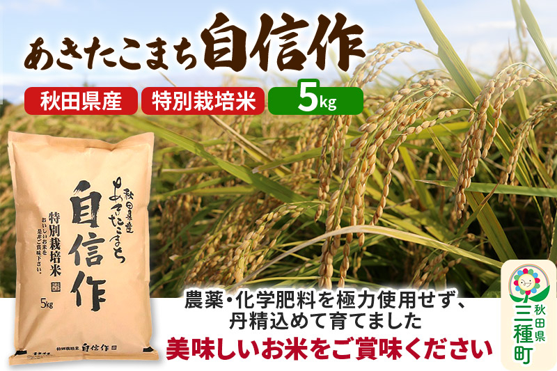 
            【白米】あきたこまち 自信作 5kg(5kg×1袋) 令和6年産  
          