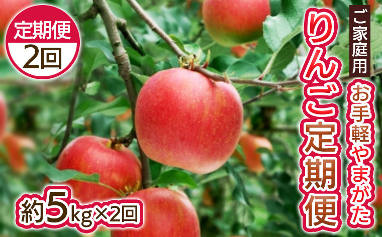 
                  【定期便2回】お手軽 ご家庭用 やまがたりんご定期便【令和8年産先行予約】FS25-794
                