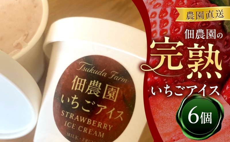 
                  農園直送　佃農園の完熟いちごアイス 6個　アイス アイスクリーム いちご イチゴ 苺 完熟 スイーツ おやつ デザート 冷菓 奈良県 大和郡山市[№5990-0987]
                