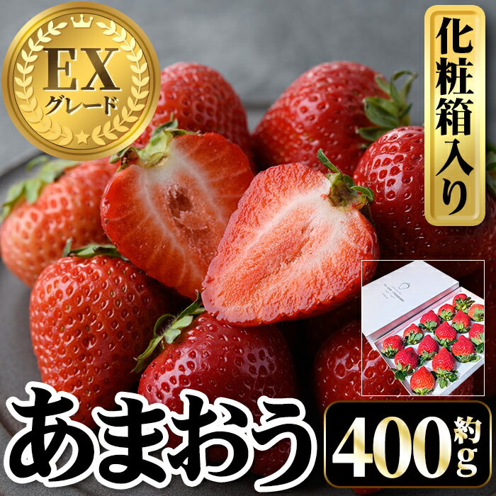 【ふるさと納税】＜先行予約受付中・数量限定＞2026年2月からお届け！プレミアムあまおうEX 化粧箱入り(約400g) 苺 いちご あまおう イチゴ フルーツ 果物 くだもの 手作り スイーツ ギフト 贈答 数量限定 冷蔵 ＜離島配送不可＞【ksg1675】【THE FARM_strawberry】
