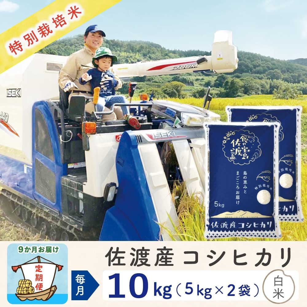 
            【新米予約 9か月定期便】佐渡島産コシヒカリ 白米10Kg 令和7年 特別栽培米 農家直送
          