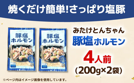 岐阜県産豚もつの鉄板焼き「元祖みたけとんちゃん」豚塩味（4人前） / モツ もつ 白もつ ホルモン / 御嵩町 / 藤よし[AVAA038]