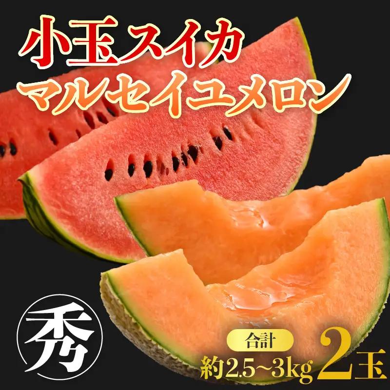 【先行予約】佐藤農園の小玉スイカ・マルセイユメロン セット 計2玉（約2.5kg～3kg） 秀品 農家直送 有機肥料 低農薬 ※2027年5月下旬～6月末の間に順次発送 [aw069-a004]
