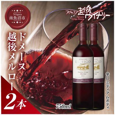 ふるさと納税 南魚沼市 ドメーヌ・越後メルロー  赤 750ml 2本セット 越後ワイナリーの辛口 ミディアムボディ 南魚沼