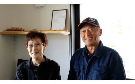 【先行予約】令和6年産新米 ひとめぼれ 3kg 陸前高田市産 石川製油 【 米 お米 今摺り米 おにぎり お弁当 食品 】