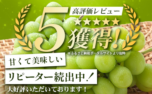 【特別寄付額10000円→9000円】シャインマスカット 約1.2kg 2～3房 ご家庭用 佐賀県産 【先行予約 2026年8月上旬以降発送】| シャインマスカット 2026 シャイン マスカット ぶ