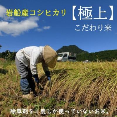 ふるさと納税 関川村 [極上]こだわり米 岩船産コシヒカリ精米12kg(3kg×4袋)[奥越後の百姓屋]