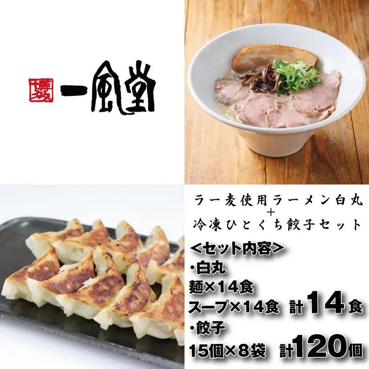 B449.【一風堂】白丸ラー麦麺14食とひとくち餃子8袋セット【豚骨ラーメン】