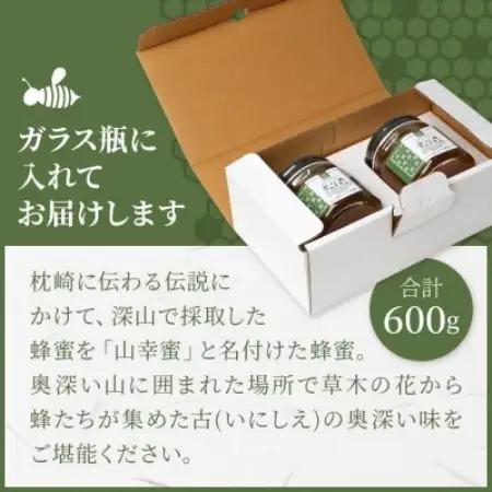 【数量限定】国産 生はちみつ 日本みつばち【非加熱・無添加の生蜂蜜】300g×2 B3-115【配送不可地域：離島】【1752142】