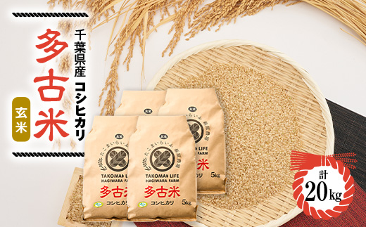 新米【令和7年産】たこまいらいふ萩原農場の多古米コシヒカリ(玄米)20kg【配送不可地域：離島・沖縄県】