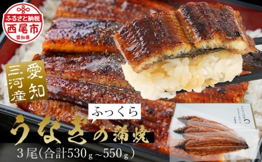 三河産うなぎ 蒲焼 《特大サイズ》 3尾（530～550g）【土用の丑】・A087-25-c1