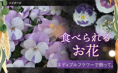 お花のクッキーアソート1ケース（10個入り）＜自然と暮らす　ぐりーん＞[CEM008]