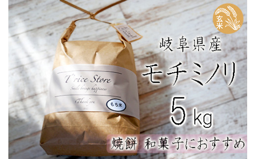 【令和6年産】 新米 T rice Store 岐阜県産 モチミノリ（玄米） 5kg