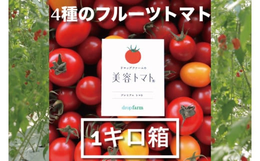 【5月発送】ドロップファームの美容トマトおまかせ1kg箱(４種ミックス)【とまと フルーツトマト 野菜ソムリエ 朝採れ アイコ イエローアイコ 小鈴 フルティカ 野菜 フレッシュ リコピン 大容量 茨