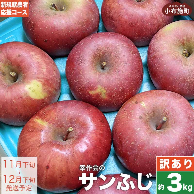 【ふるさと納税】【訳あり】 サンふじ 約3kg ［新規就農者応援コース 幸作会］ りんご 林檎 リンゴ 不揃い 規格外 果物 フルーツ 長野 信州 3kg 特産 産地直送 産直 数量限定 先行予約 生産者応援 支援 家庭用 6000円 令和7年産 【2025年11月下旬～12月下旬発送】