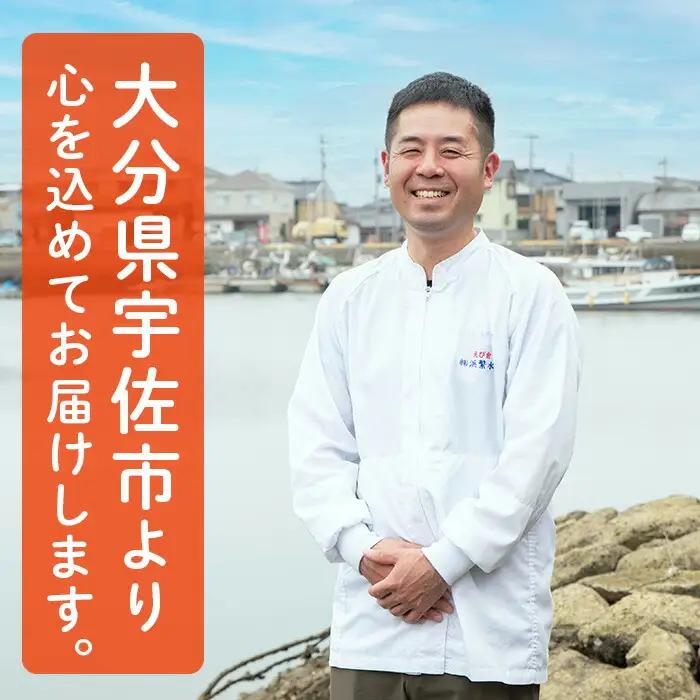 ＜訳あり＞天然むきエビフライ(計40尾 ・1袋20尾×2袋)  海老 えび エビフライ フライ 簡単 お弁当 おかず おつまみ 揚げるだけ 【104901000】【浜繁水産】