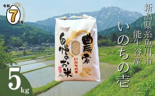 【2025年12月発送】令和7年産新米予約 新潟県能生谷産『いのちの壱』5kg（白米）棚田米 農家直送 2025年産 JATs有限会社【新潟県 糸魚川市 米 お米 こめ コメ ご飯 ライス ふるさと納税米 ブランド米 おすすめ ギフト 5キロ 精米 白米 人気 食品 選べる配送月 先行予約】