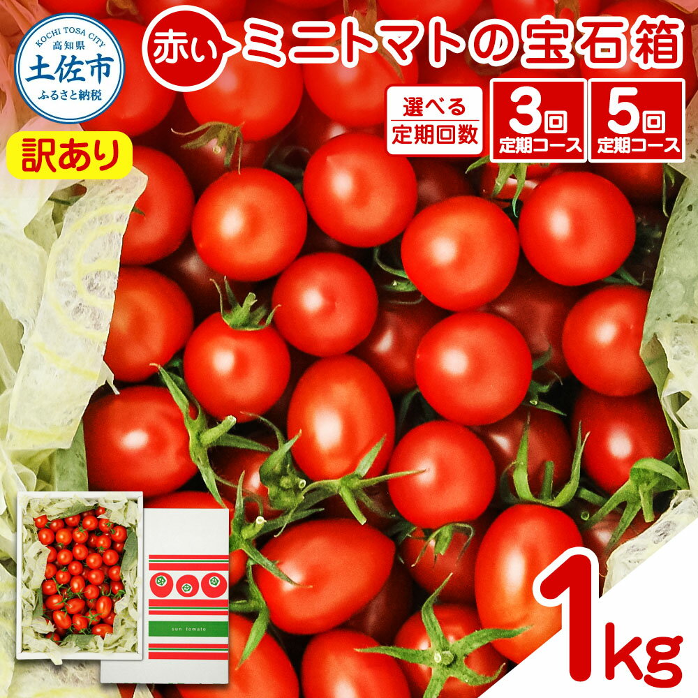 【ふるさと納税】訳あり 赤いミニトマトの宝石箱 約1kg 約1キロ 選べるお届け回数 3回 5回 定期便 トマト とまと ミックス 詰め合わせ セット 野菜 料理 サラダ マリネ 浅漬け おやつ 弁当 訳アリ 家庭用 ご自宅用 常温 配送 高知県 土佐市 ふるさとのうぜい 故郷納税 返礼品