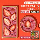 【ふるさと納税】【お歳暮対象】【あまおうルビー】糸島ドライフルーツチョコレート3種4個セットBOX《糸島》【itoshimacco《やました》】 [ARJ019] 14000円 1万4千円 いとしまっこ