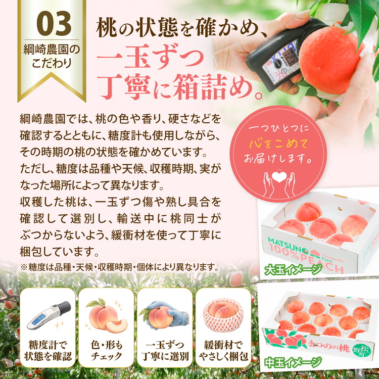 【2026年出荷分先行予約】愛媛の桃どころ 「綱崎農園」から届ける大玉桃 約2kg ｜ ふるさと納税 桃 冷蔵 松野町 フルーツ ギフト ※北海道・沖縄・離島への配送不可 ※2026年6月中旬～8月中