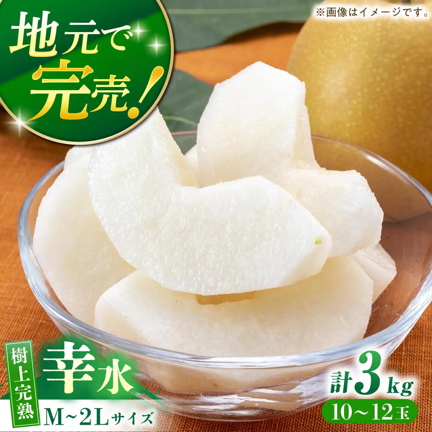 【産地直送】幸水3kg箱 Ｍ-2Lサイズ（10-12個）ー2026年8月より発送ー  長与町/つじ梨園[ECO001]  梨