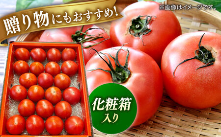 特選徳谷トマト約2kg　生産者52番　フルーツトマト
