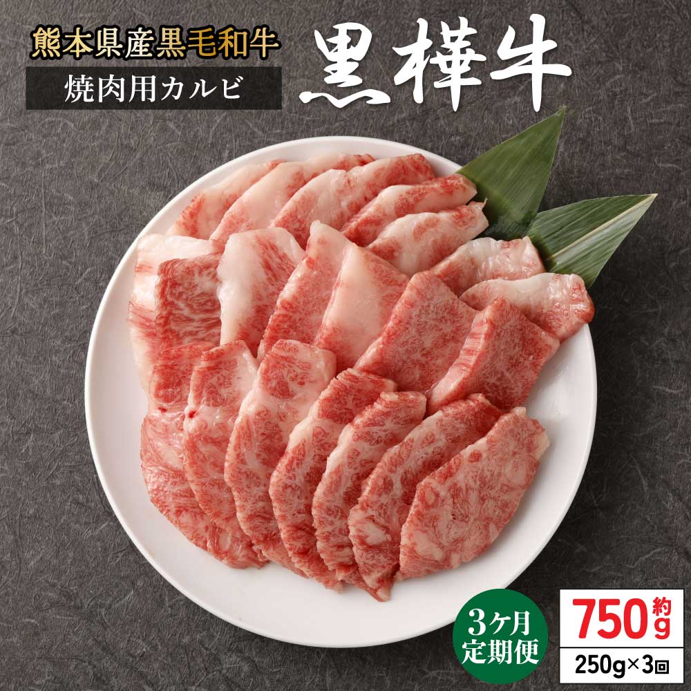 【ふるさと納税】【1ヶ月毎2回】 定期便 黒樺牛 焼肉用 カルビ 計750g 250g×3回 高級 精肉 肉 牛肉 お肉 焼肉 焼肉用 カルビ バーベキュー BBQ 黒毛和牛 和牛 黒樺牛 霜降り 赤身 国産 家庭用 お取り寄せ ご褒美 贅沢 キャンプ 贈答 ギフト 熊本県 宇城市 送料無料 杉本本店
