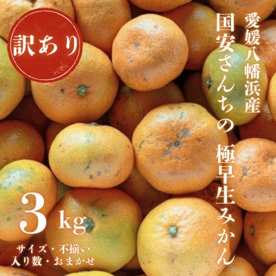 【創業85年 親子4代 愛媛みかん 一筋】愛媛八幡浜産 訳あり 極早生みかん 3kg【A20−45】【1594912】