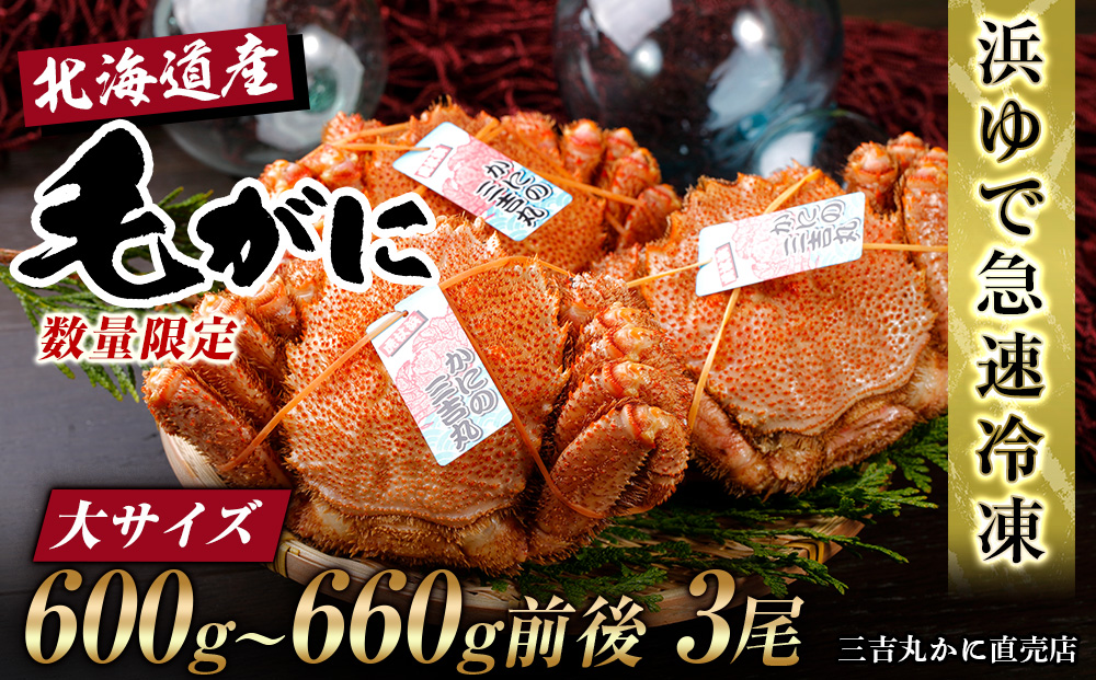 【大サイズ】北海道産 冷凍ボイル毛ガニ (600g-660g前後) 3尾 AS129