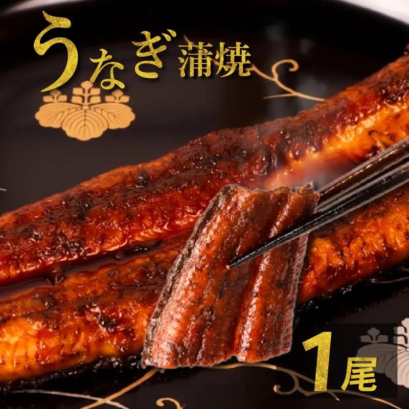 うなぎの蒲焼 1尾 うなぎ ウナギ 鰻 蒲焼 蒲焼き 国産 冷凍