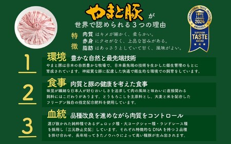 岩手県産 やまと豚５種2.6㎏ ※着日指定不可 ※離島への配送不可