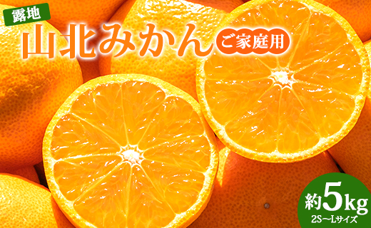 【ブランドみかん】 山北みかん5kg 家庭用