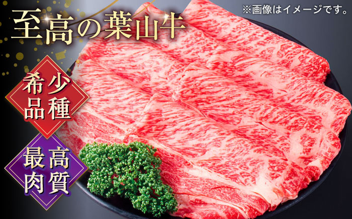 【全12回定期便】葉山牛肩ロースすき焼き用 250g×2パック 計500g【株式会社羽根】 [AKAG038]