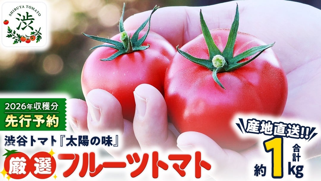 
            【 2026年 収穫分 先行予約 】 -太陽の味- 渋谷トマト 厳選　フルーツトマト 約1kg 2026年1月5日～発送開始 トマト ミニトマト フルーツトマト 茨城 産地直送 農家直送リコピン ビタミン 有機肥料 野菜 甘い 直売所 [EL05-NT]
          