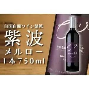 ワイン 紫波メルロー 750ml ミディアムボディ AL047-2