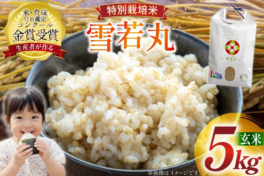 
                  米 令和8年産 雪若丸 5kg 特別栽培米 玄米 [農家の蔵出し米生産組合 山形県 高畠町 tk06ays900005] コメ ご飯 ごはん お米 ブランド米
                