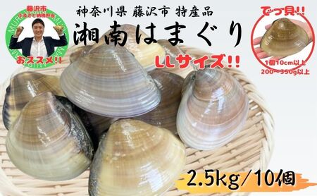 湘南はまぐり 10個 2.5kg 冷凍 焼き蛤 酒蒸し 地はまぐり お吸い物 蛤  はまぐり 炊き込みご飯 パスタ 江の島 江ノ島 蛤  特大はまぐり 【湘南はまぐり LLサイズハマグリ】