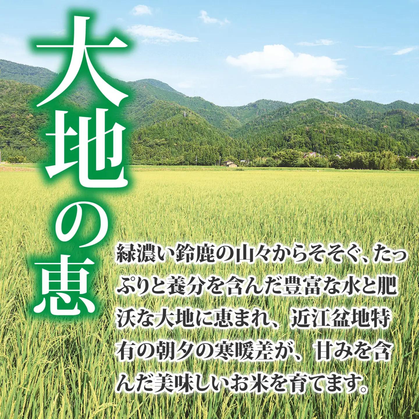 【先行予約】【令和8年産新米早期予約 毎月定期配送・計6回】 キヌヒカリ10kg×6回　おいしい多賀のお米 [J-00401] / 白米