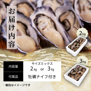 【7営業日以内発送】愛南 オイスター 2kg  牡蠣 加熱用 殻付きかき