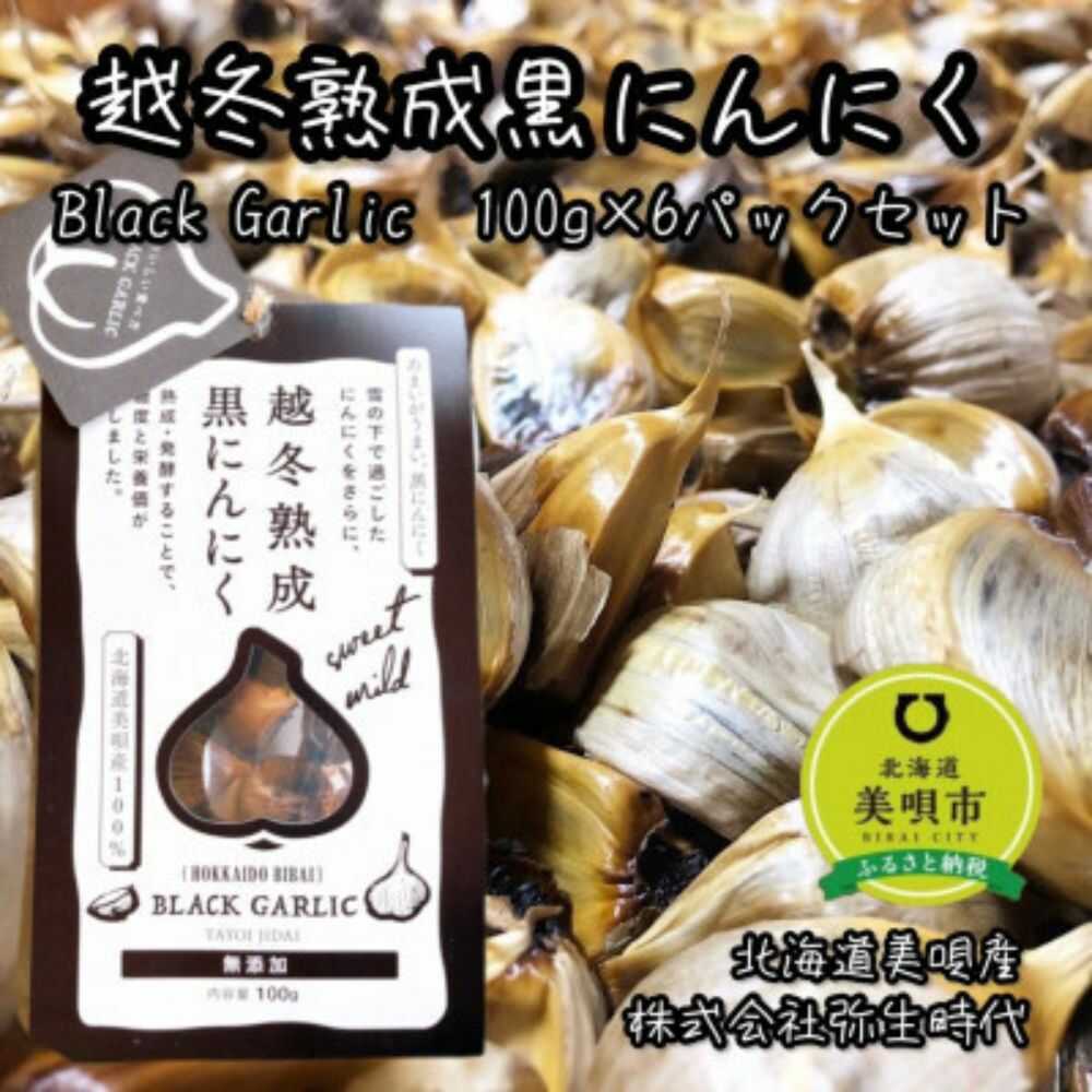 【ふるさと納税】越冬熟成黒にんにく Lサイズ片 計600g（100g×6袋） | にんにく 野菜 黒にんにく ニンニク 北海道 | 株式会社弥生時代[BOBG013]