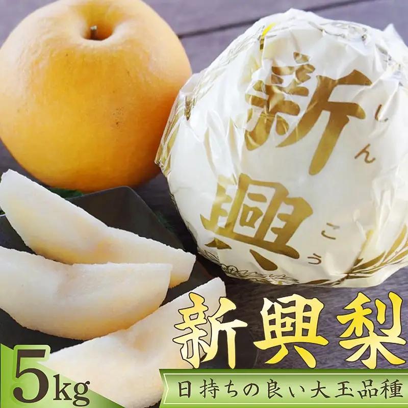 京丹後産 新興梨 5kg｜梨